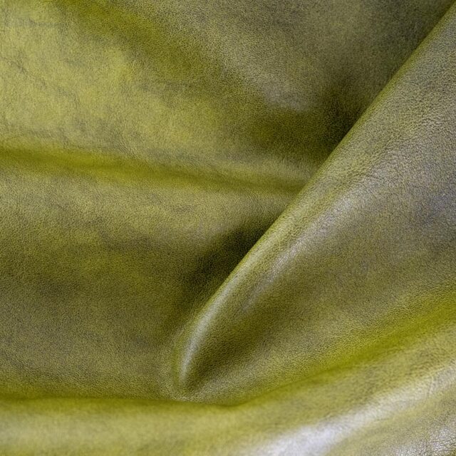 Reptile
