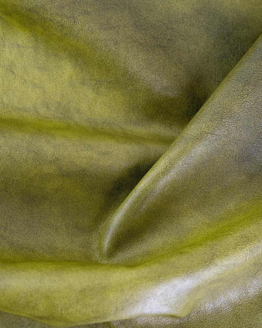 Reptile