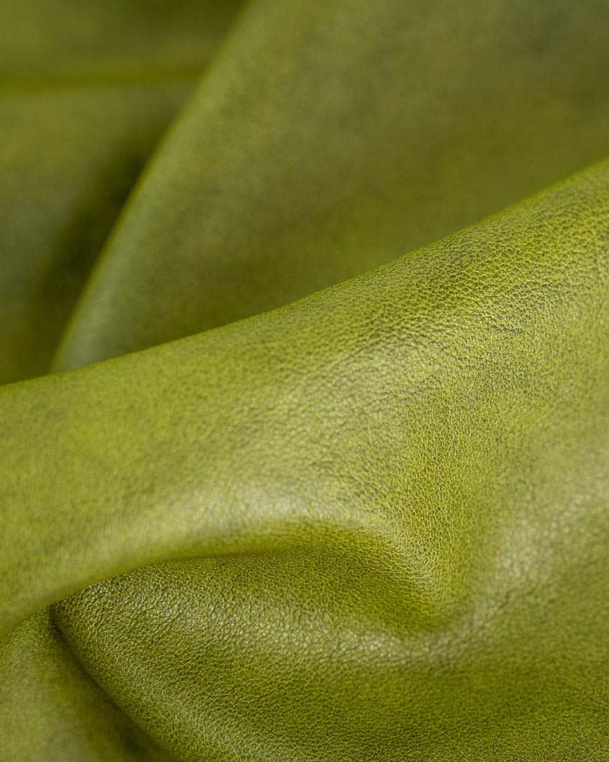 Reptile - Image 5