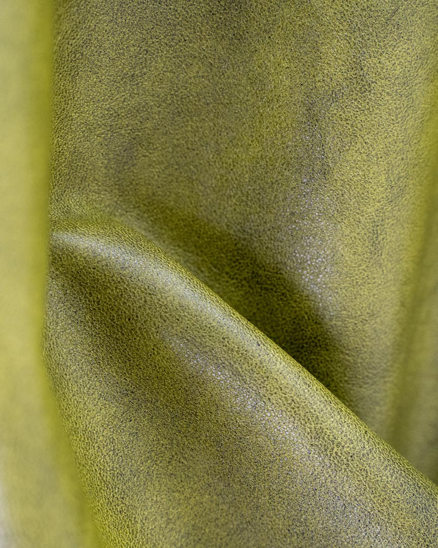 Reptile - Image 3