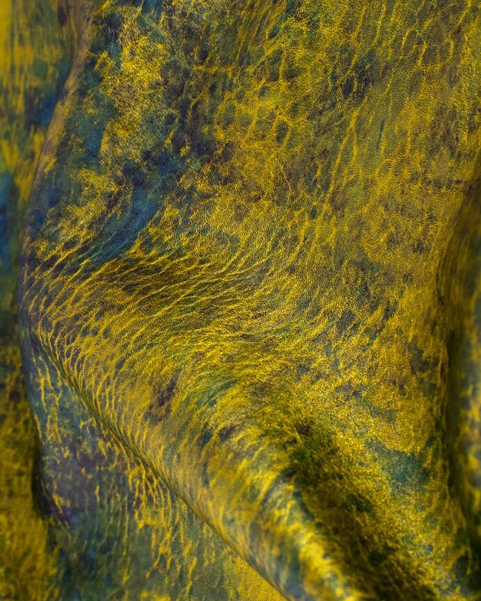 Snake - Image 2